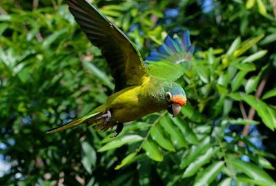 Do You Want to Discover a Magical Nature Reserve in Managua?